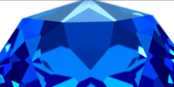 Sapphire Pest Control the Best Solution to Bugs